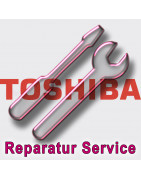Toshiba Portege 7200 Serie