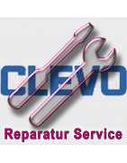 Clevo D4x Serie