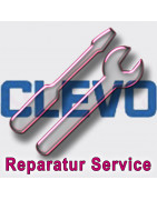 Clevo R Serie